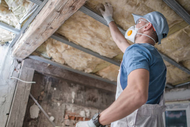 Best Spray Foam Insulation in Mcgaheysville, VA