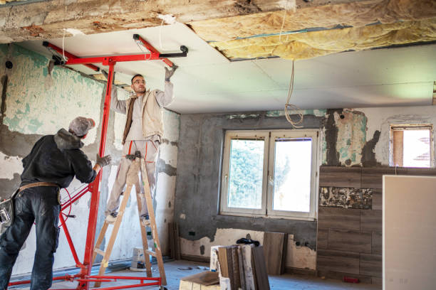 Best DIY Insulation Kits and Guidance in Mcgaheysville, VA