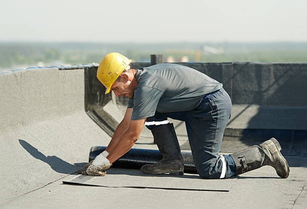 Best Insulation Maintenance and Repair in Mcgaheysville, VA